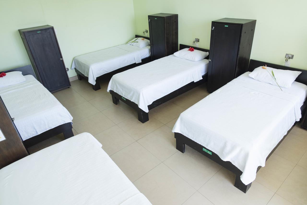 Room2Board Hostel And Surf School Jaco Luaran gambar